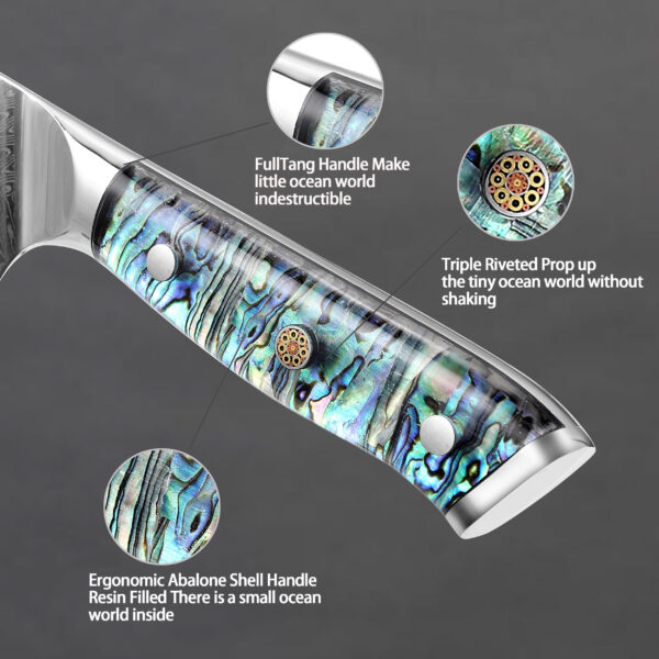 Professional 8-Inch Damascus Steel Chef Knife – Ultra Sharp 10Cr15MOV Blade with Hand-Forged Pattern & Abalone Shell Handle
