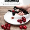 Stainless Steel Cherry Pitter – Handheld Corer Tool with Lock Design for Easy Jam Prep