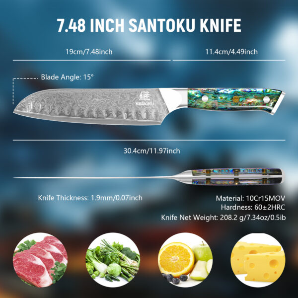Professional 8-Inch Damascus Steel Chef Knife – Ultra Sharp 10Cr15MOV Blade with Hand-Forged Pattern & Abalone Shell Handle