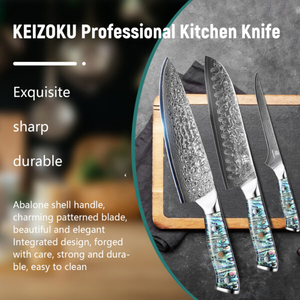 Professional 8-Inch Damascus Steel Chef Knife – Ultra Sharp 10Cr15MOV Blade with Hand-Forged Pattern & Abalone Shell Handle