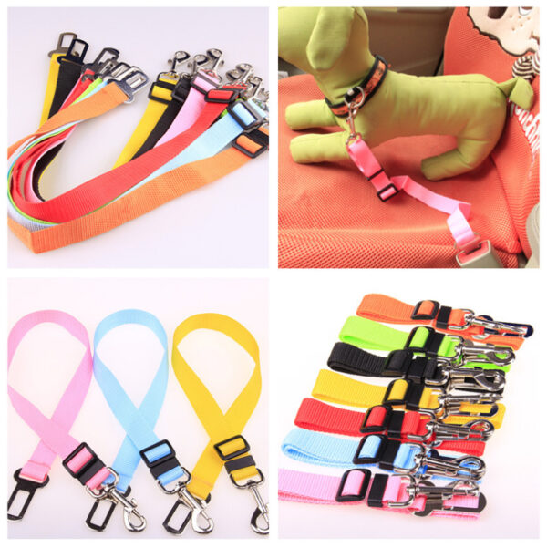 Durable Polyester Dog Leash | Fixed Strap Design for Secure & Comfortable Control