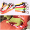 Durable Polyester Dog Leash | Fixed Strap Design for Secure & Comfortable Control