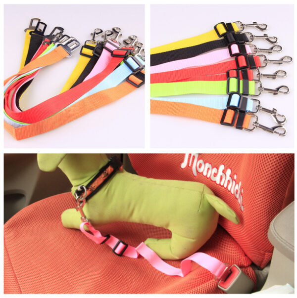 Durable Polyester Dog Leash | Fixed Strap Design for Secure & Comfortable Control