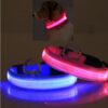 45813d70-5132-4f06-a9b4-a22b123e52c1.jpg LED Pet Safety Halo Collar | Glowing Adjustable Collar for Night Visibility & Protection