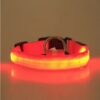 9720cb83-6774-4f99-894b-91edc66d1f60.jpg LED Pet Safety Halo Collar | Glowing Adjustable Collar for Night Visibility & Protection