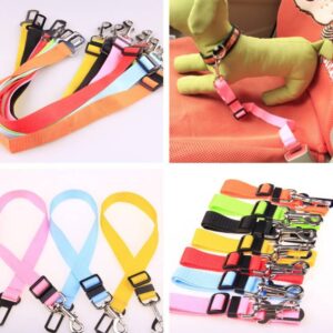 Durable Polyester Dog Leash | Fixed Strap Design for Secure & Comfortable Control